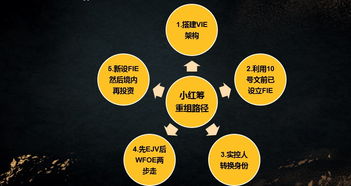 股權(quán)投資法律實務全解析 從入門到精通